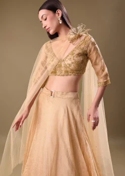 Gold Hand Embroidered Tissue Lehenga And Blouse With Dupatta