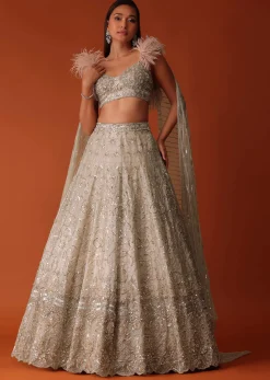 Gold Heavy Hand Embroidered Bridal Lehenga Set In Organza