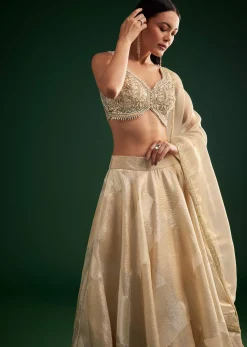 Gold Ivory Sequin Stone Work Choli Lehenga