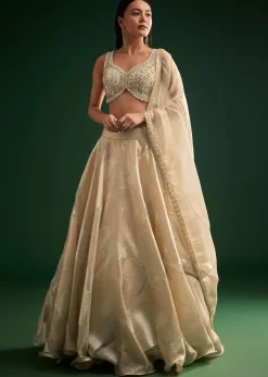 Gold Ivory Sequin Stone Work Choli Lehenga