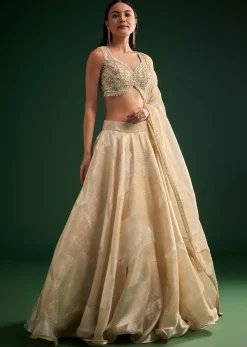 Gold Ivory Sequin Stone Work Choli Lehenga