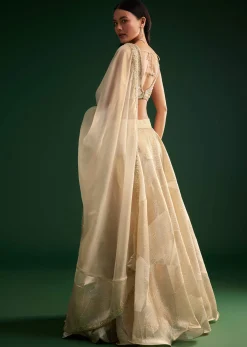 Gold Ivory Sequin Stone Work Choli Lehenga