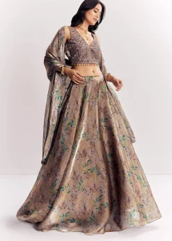 Gold Organza Tissue Lehenga Dupatta With Mirror Work Choli