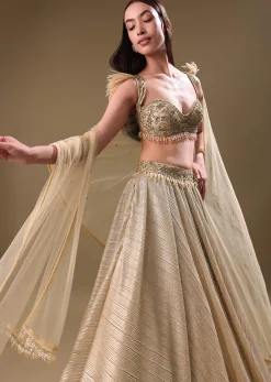 Gold Pre Pleated Lehenga With Embellished Blouse And Net Dupatta