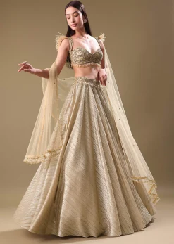 Gold Pre Pleated Lehenga With Embellished Blouse And Net Dupatta