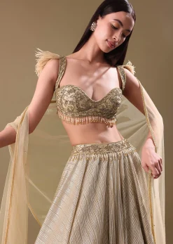 Gold Pre Pleated Lehenga With Embellished Blouse And Net Dupatta