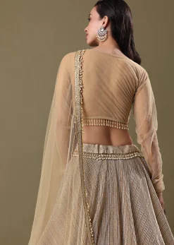 Gold Pre Pleated Lehenga With Dupatta