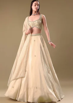 Gold Tissue Lehenga With Hand Embroidered Blouse Set