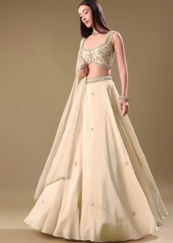Gold Tissue Lehenga With Hand Embroidered Blouse Set