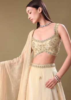Gold Tissue Lehenga With Hand Embroidered Blouse Set