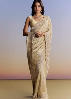 Gold Tissue Saree With Cut Dana Embroidery