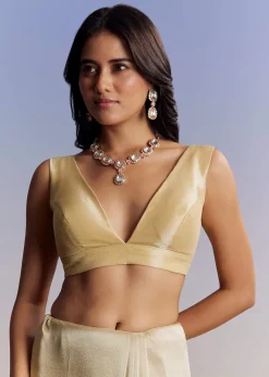 Gold Tissue Saree With Cut Dana Embroidery