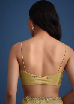 Gold Tissue Saree With Cutdana Embellished Border