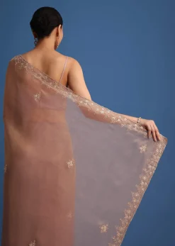 Gold Tissue Saree With Stones And Cutdana Embroidered Border