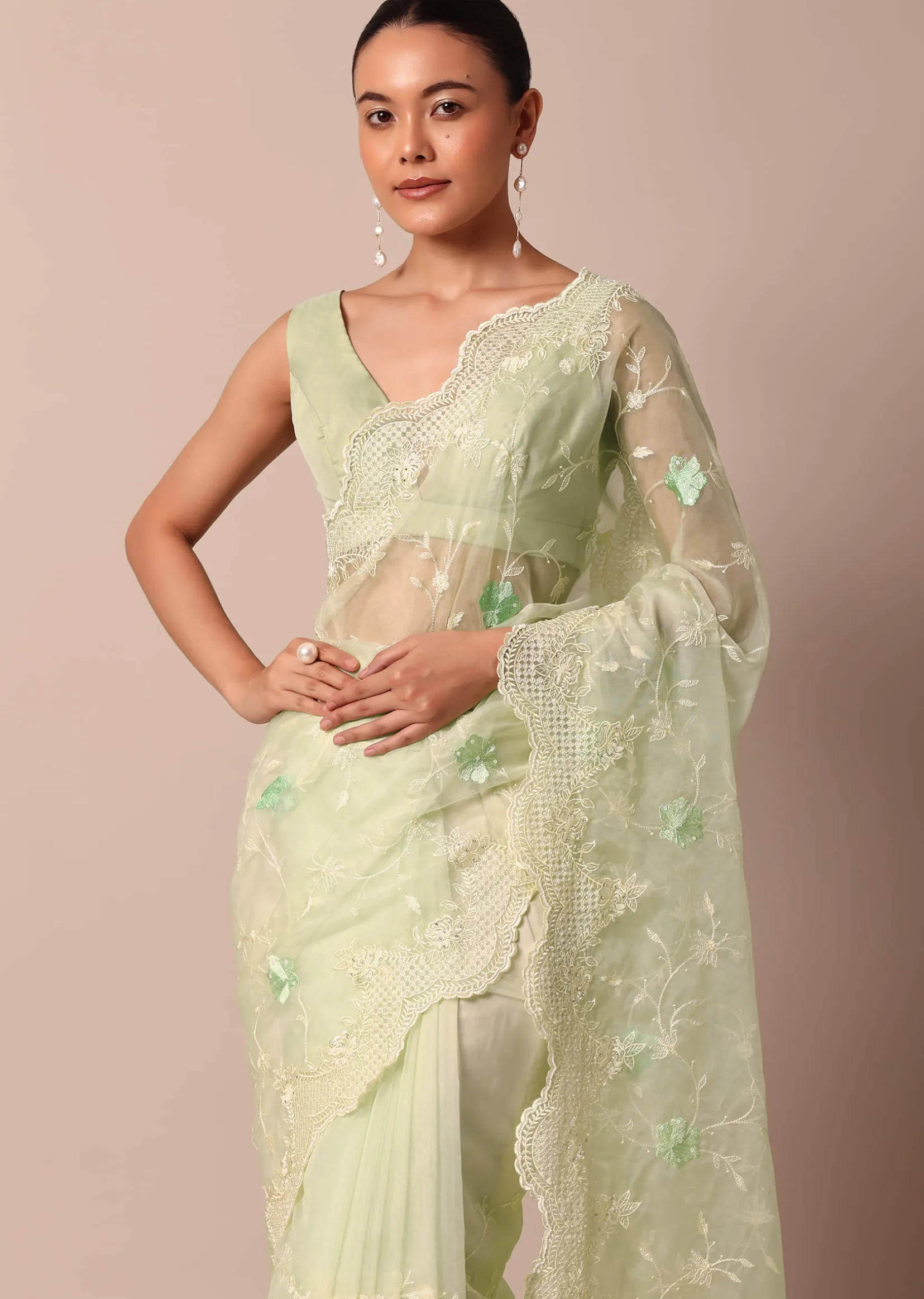 Green Chikankari Saree In Organza Silk With Resham Floral Jaal And Unstitched Blouse Fabric