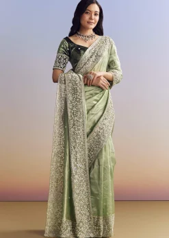 Green Tissue Saree With Velvet Blouse And Richly Embroidered Borders