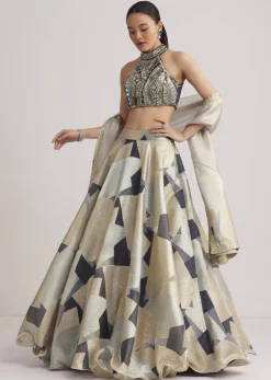 Grey And Gold Net Embroidered Lehenga Set