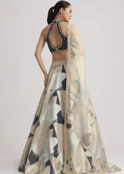 Grey And Gold Net Embroidered Lehenga Set