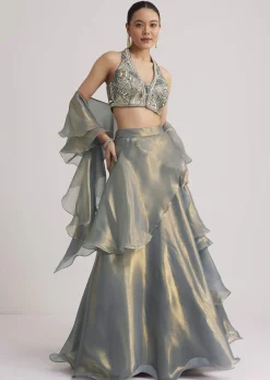Grey Organza Embellished Lehenga Set With Dupatta