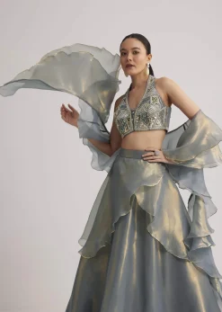 Grey Organza Embellished Lehenga Set With Dupatta