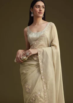 Grey Tissue Saree With Sequins And Cutdana Work