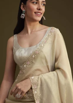 Grey Tissue Saree With Sequins And Cutdana Work