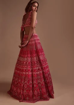 Hot Pink Lehenga Choli In Net With Mirror Work In Floral And Mughal Motifs Along With A Tassel Belt