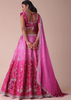 Hot Pink Ombre Lehenga With Handwork Embroidery