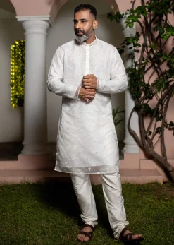 Ivory Organza Zari Embroidered Kurta Set With Butti Work