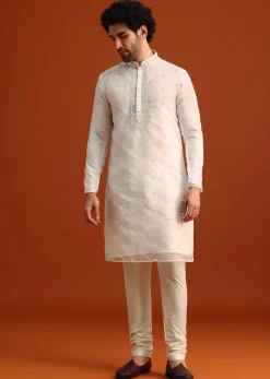 Ivory Organza Zari Embroidered Kurta Set With Butti Work