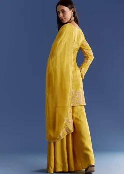 Ivory Silk Kurta Set With appliqua Organza Dupatta