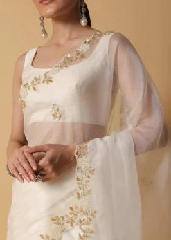 Ivory White Organza Saree With Cut Dana Embroidered Borders