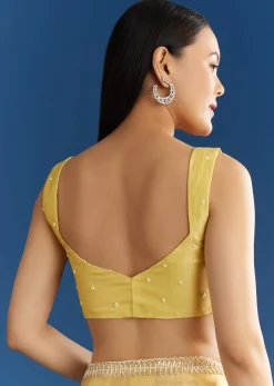 Lemon Yellow Organza Tissue Saree With Beaded Border