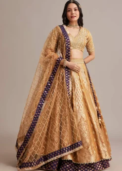 Light Brown Banarasi Silk Lehenga Set With Zardosi Work