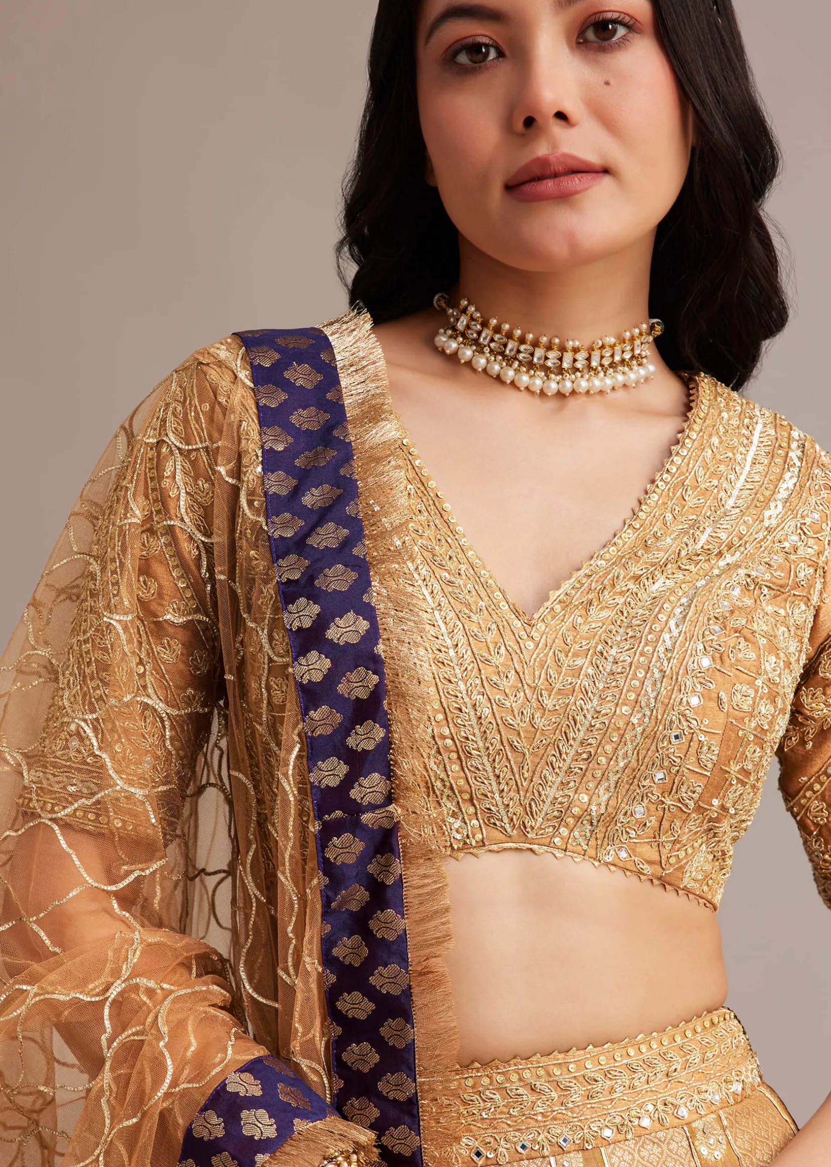 Light Brown Banarasi Silk Lehenga Set With Zardosi Work