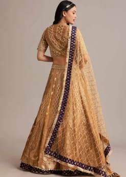 Light Brown Banarasi Silk Lehenga Set With Zardosi Work