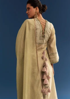 Light Green Chanderi Kurta Set With Organza Dupatta And Tassel Tie-Up Back