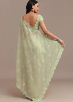 Light Green Crushed Tissue Saree With Resham Embroidered Border