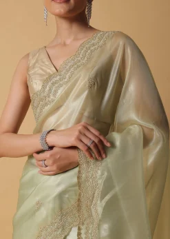 Light Green Foil Saree In Tissue With Cut Dana Embroidered Borders