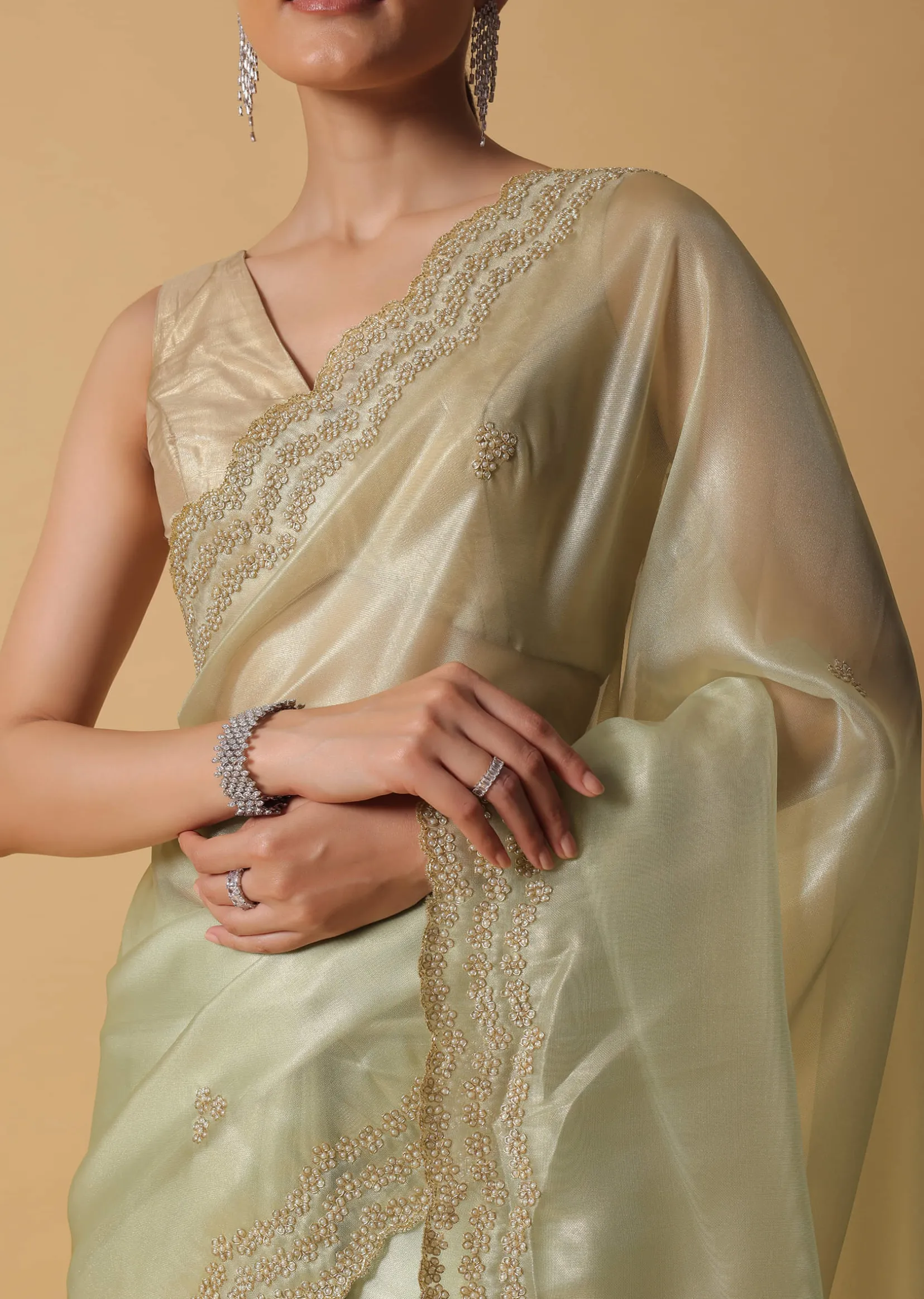 Light Green Foil Saree In Tissue With Cut Dana Embroidered Borders