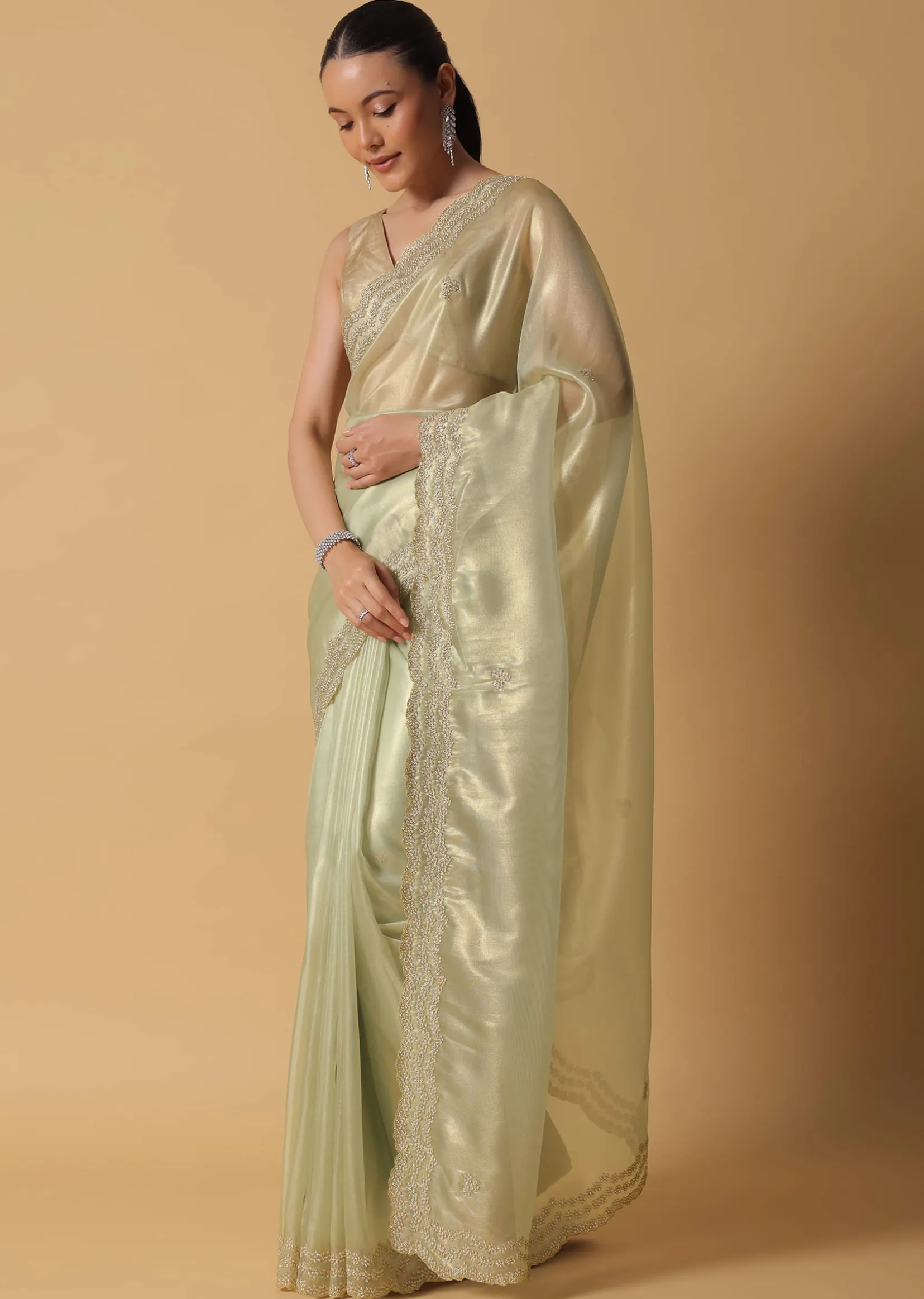 Light Green Foil Saree In Tissue With Cut Dana Embroidered Borders