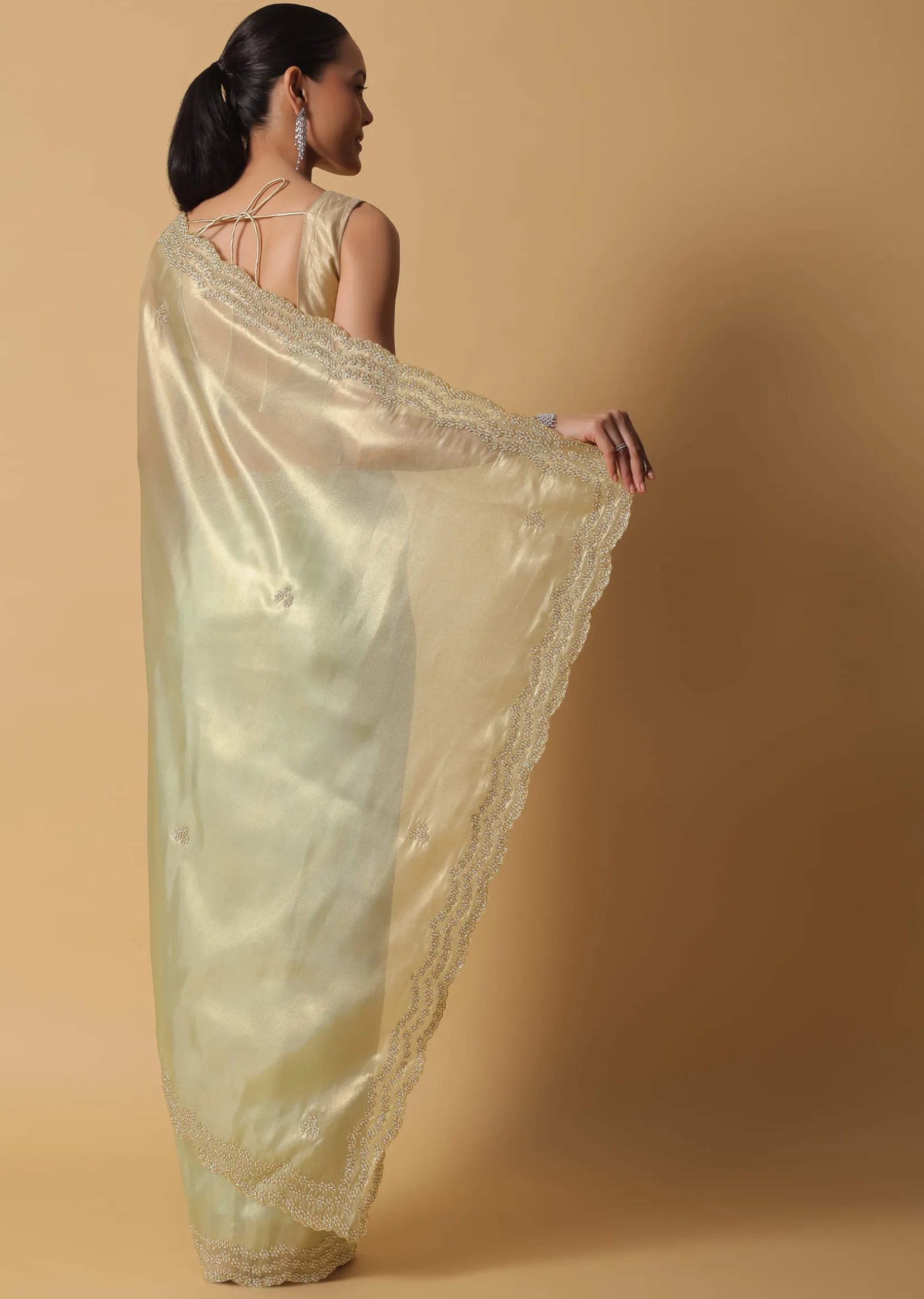 Light Green Foil Saree In Tissue With Cut Dana Embroidered Borders