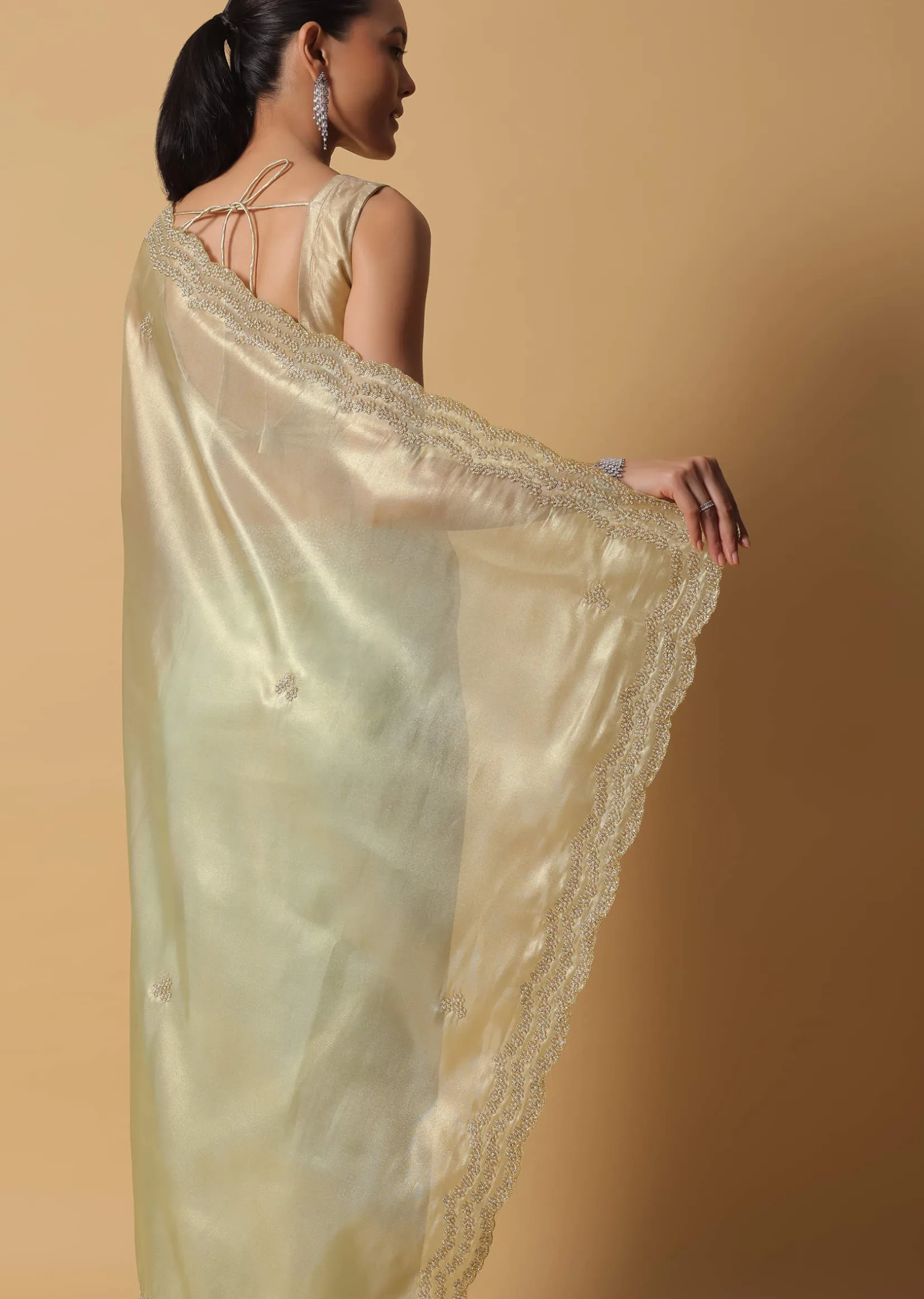 Light Green Foil Saree In Tissue With Cut Dana Embroidered Borders