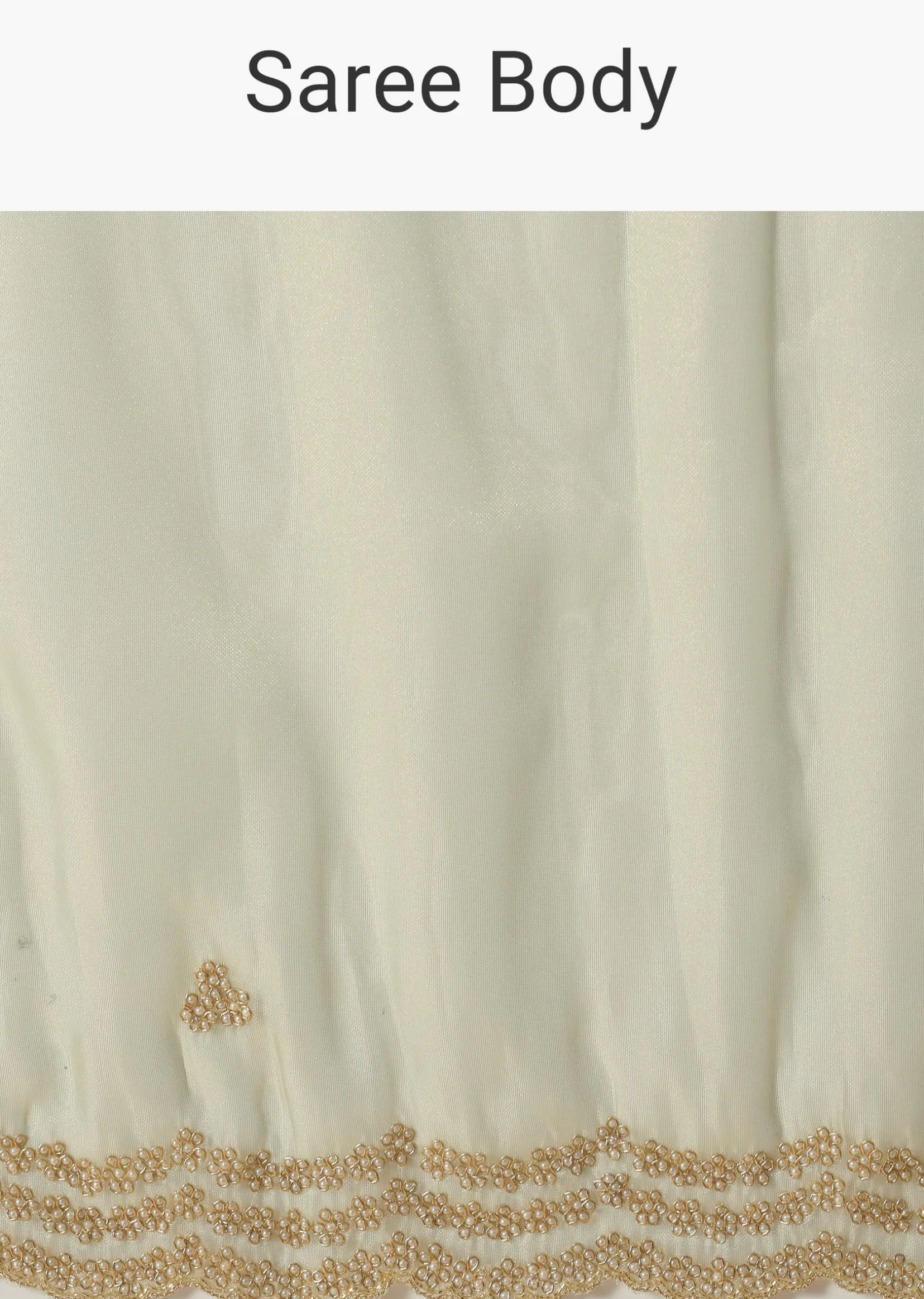 Light Green Foil Saree In Tissue With Cut Dana Embroidered Borders