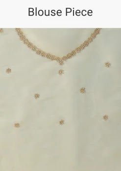 Light Green Foil Saree In Tissue With Cut Dana Embroidered Borders