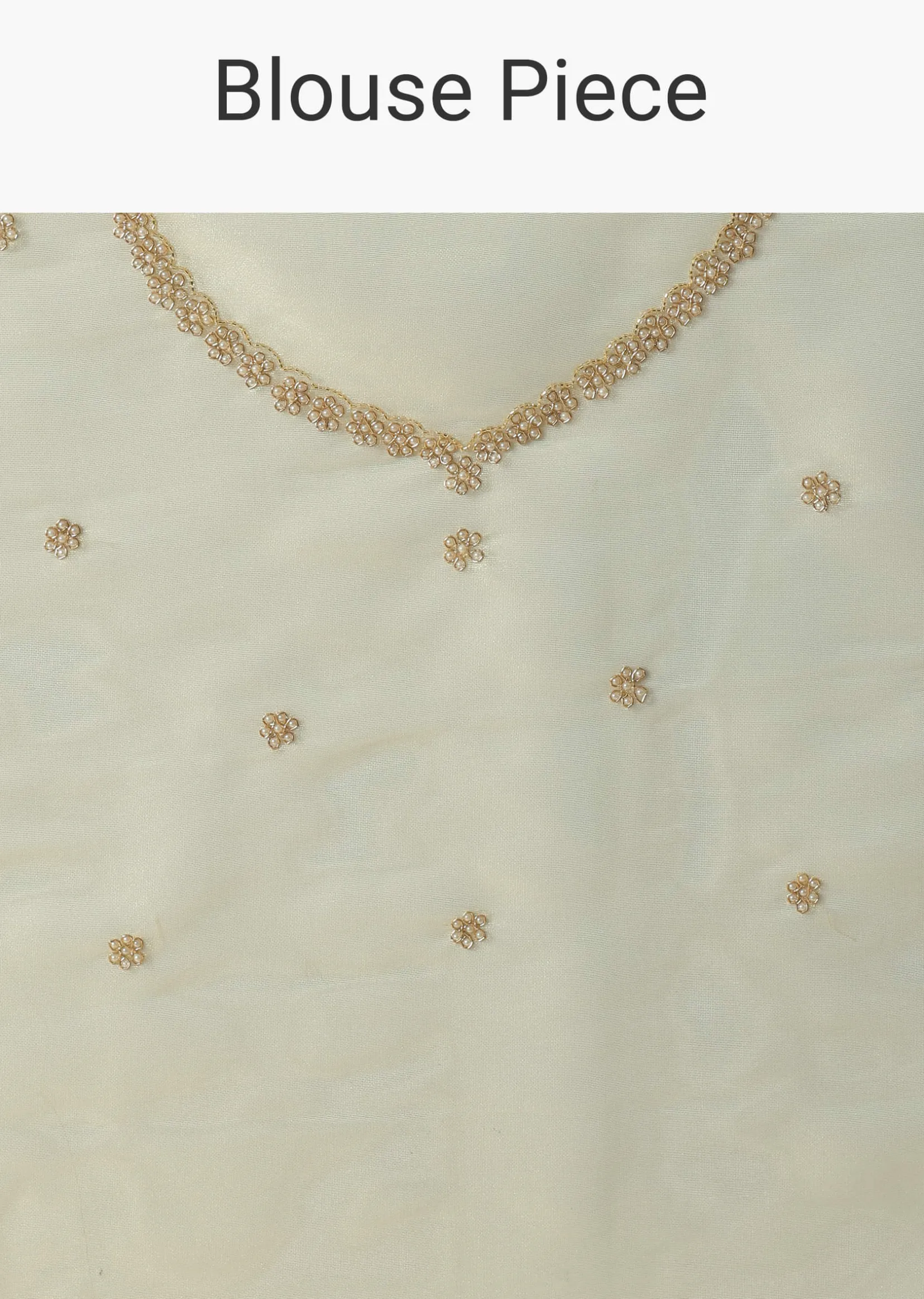 Light Green Foil Saree In Tissue With Cut Dana Embroidered Borders