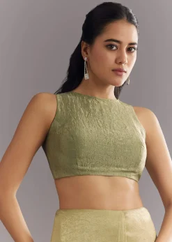 Light Green Glossy Crushed Tissue Saree With Cutdana Sequins Embroidery And Scallop Border