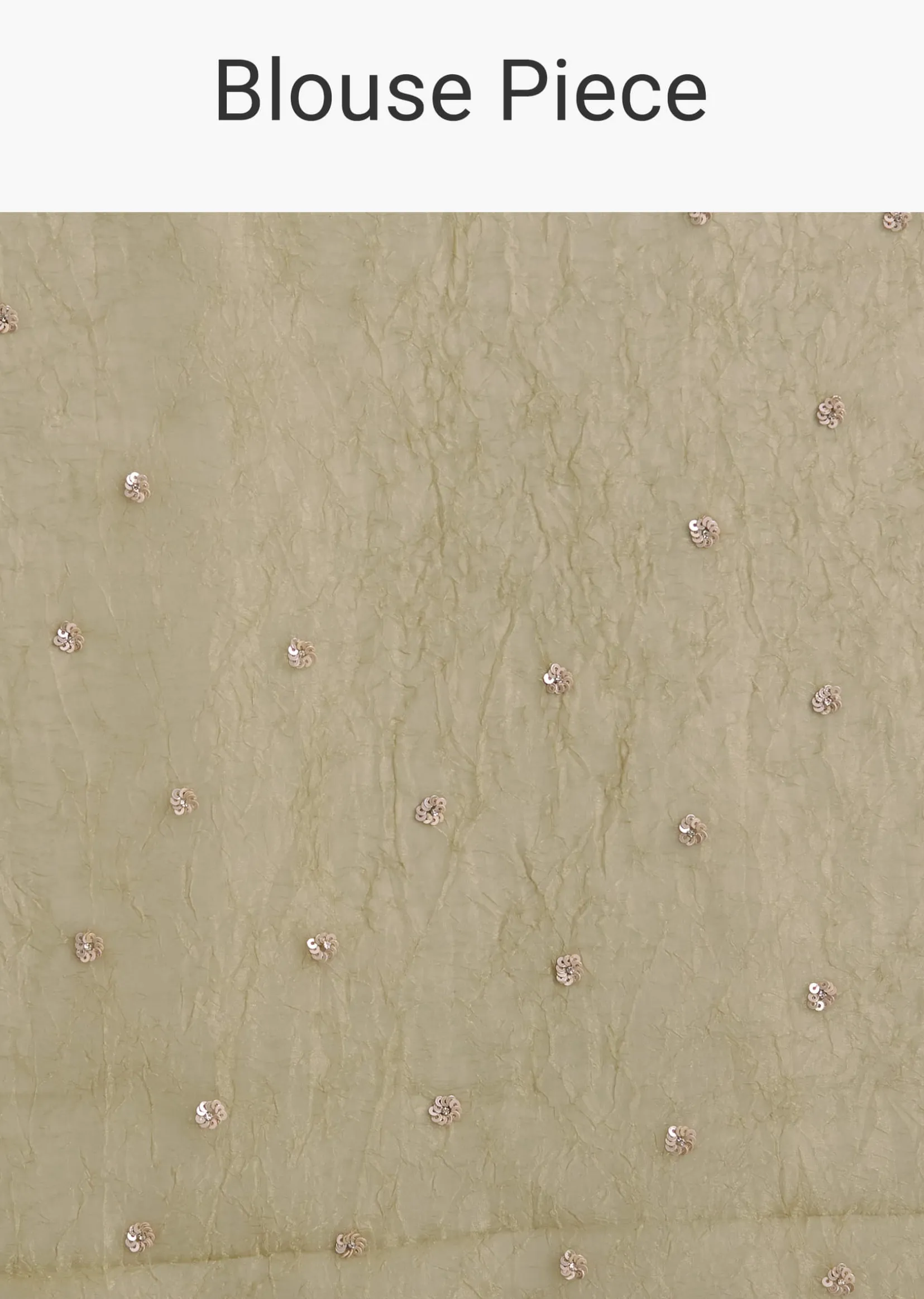 Light Green Glossy Crushed Tissue Saree With Cutdana Sequins Embroidery And Scallop Border