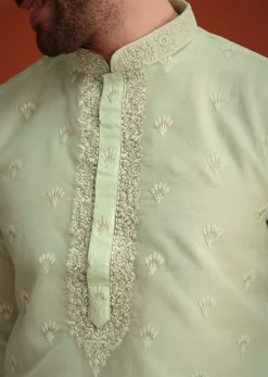 Light Green Organza Aligarhi Kurta With Zari Embroidery