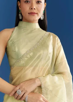Light Green Organza Tissue Saree With Embroidered Scallop Border